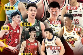 爱游戏体育平台-转会期CBA季后赛焦点战，达拉斯独行侠调整名单，球迷炸锅，身体对抗强度拉满的简单介绍